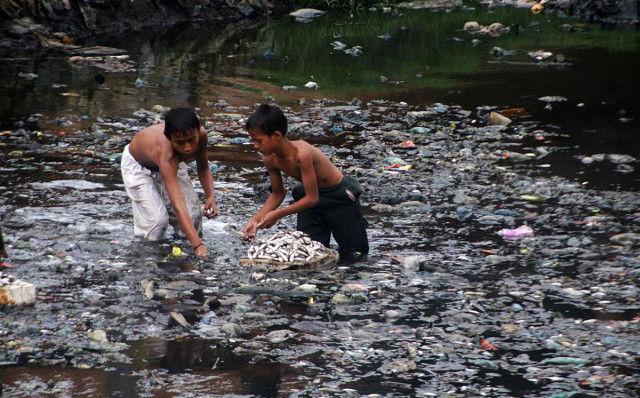 the marine fisheries department mfd officials said that the massive loss fish largely comprising of mullets that lives in shallow water and are consumed locally is a big loss to the community photo online file