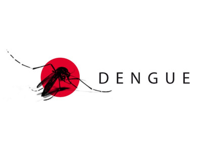 dengue fever counters set up to monitor travellers