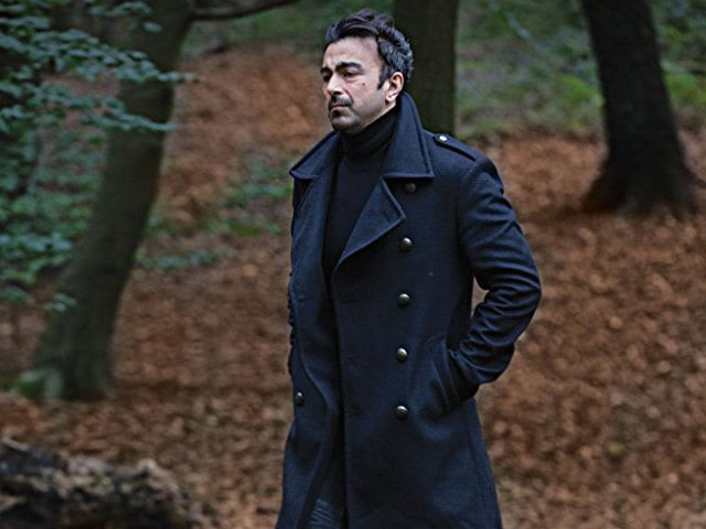 shaan shahid plays the role of a musician ali who returns from the uk to pakistan to make a comeback in his music career photo imdb