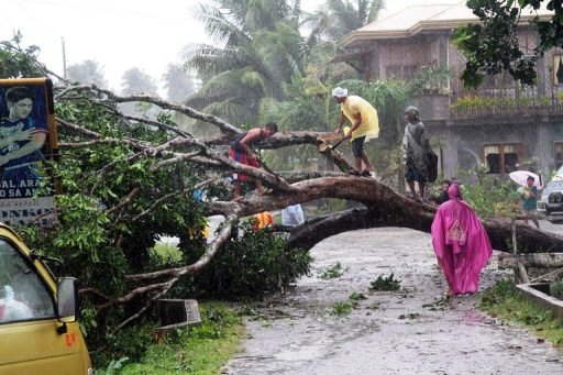 typhoon uprooted trees and power lines photo afp