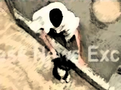 compassion amid floods dog rescued at sukkur barrage compassion amid floods dog rescued at sukkur barrage