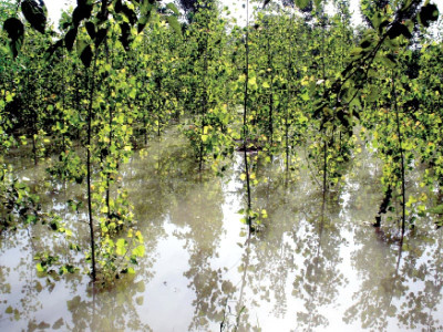 at least 12 dead hundreds displaced as floods continue to ravage province at least 12 dead hundreds displaced as floods continue to ravage province