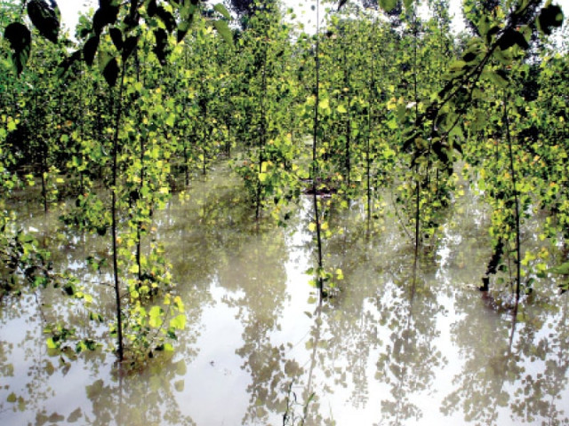 floodwater enters fields in peshawar pdma has issued a warning for residents near the river bank to evacuate photo express floodwater enters fields in peshawar pdma has issued a warning for residents near the river bank to evacuate photo express