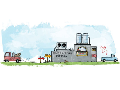 chain reaction ecc bans export of live animals from october 1