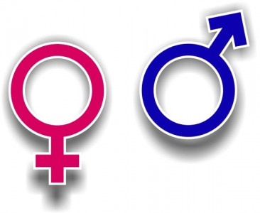 syllabus upgrade sexual health rights to be incorporated in curriculum syllabus upgrade sexual health rights to be incorporated in curriculum