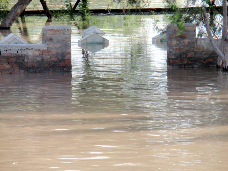 floodwaters submerge a graveyard above in abdullah shah village crop land and homes were engulfed by torrents photo sarfraz memon express