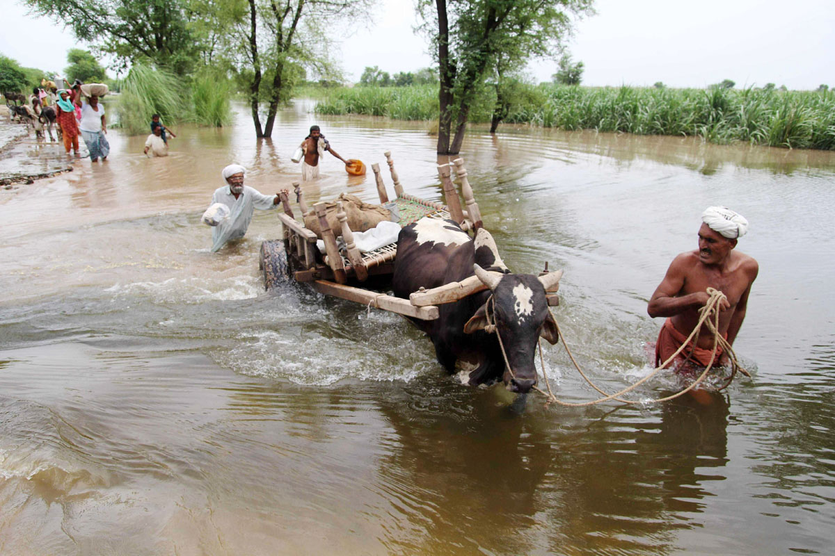 flood affected villagers wade through floodwaters as they evacute their homes at sadat wala near multan on august 16 2013 photo afp file