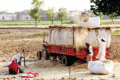 the wheat market jigsaw puzzle