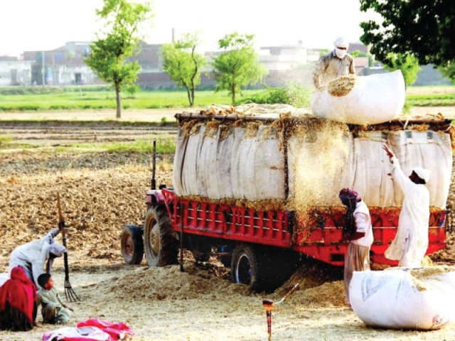 ntdc had already paid the rupee equivalent of 9 million to passco as the cost of 30 000 tons of wheat out of 53 21 million owed to tavanir photo file ntdc had already paid the rupee equivalent of 9 million to passco as the cost of 30 000 tons of wheat out of 53 21 million owed to tavanir photo file