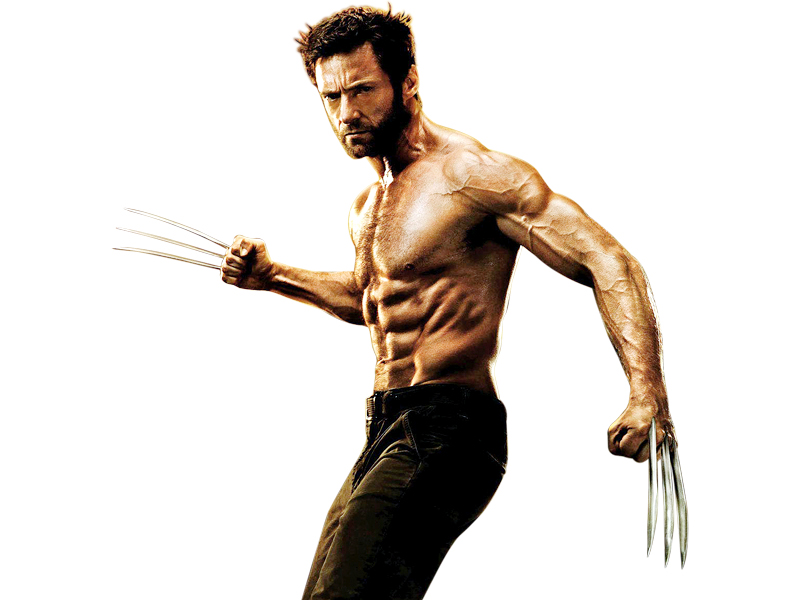 great action sequences kind of make up for a busy plot in the wolverine