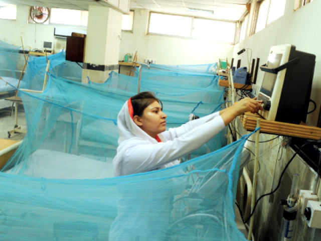 a nurse installs mosquito nets at a hospital in rawalpindi photo waseem imran express a nurse installs mosquito nets at a hospital in rawalpindi photo waseem imran express