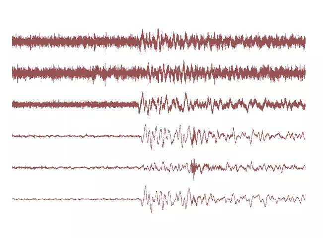 the quake measured 4 6 on the richter scale and originated in the northern part of india photo creative commons the quake measured 4 6 on the richter scale and originated in the northern part of india photo creative commons
