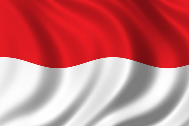 indonesia has granted market access to pakistani kinnow at 0 tariff which is expected to enhance the export of this product photo afp file indonesia has granted market access to pakistani kinnow at 0 tariff which is expected to enhance the export of this product photo afp file