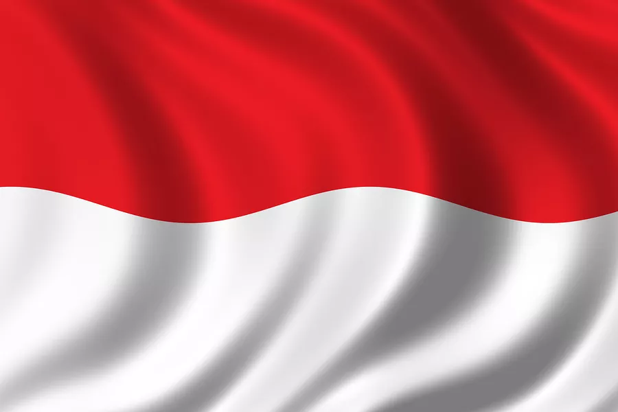 indonesia has granted market access to pakistani kinnow at 0 tariff which is expected to enhance the export of this product photo afp file indonesia has granted market access to pakistani kinnow at 0 tariff which is expected to enhance the export of this product photo afp file