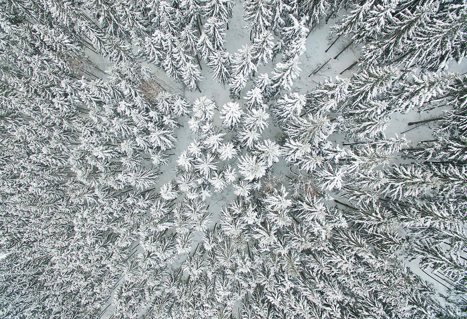 Aerial view with a drone shows a snow-covered forest near Schulenburg im Oberharz in the Harz region, central Germany. PHOTO: AFP