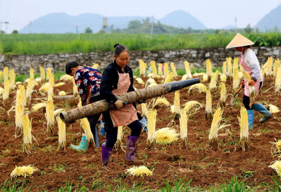 china s poverty reduction admirable model for world pakistani expert