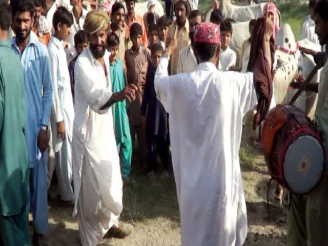 people dance to the beat of drums at the bulls race in jatoi photo express people dance to the beat of drums at the bulls race in jatoi photo express