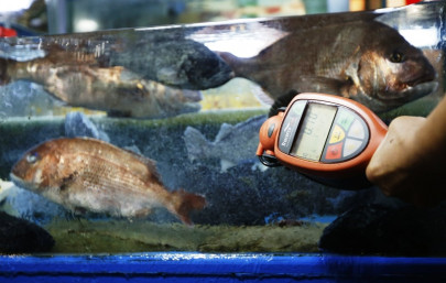 south korea bans more japan fishery products from near fukushima on eve of olympic decision south korea bans more japan fishery products from near fukushima on eve of olympic decision