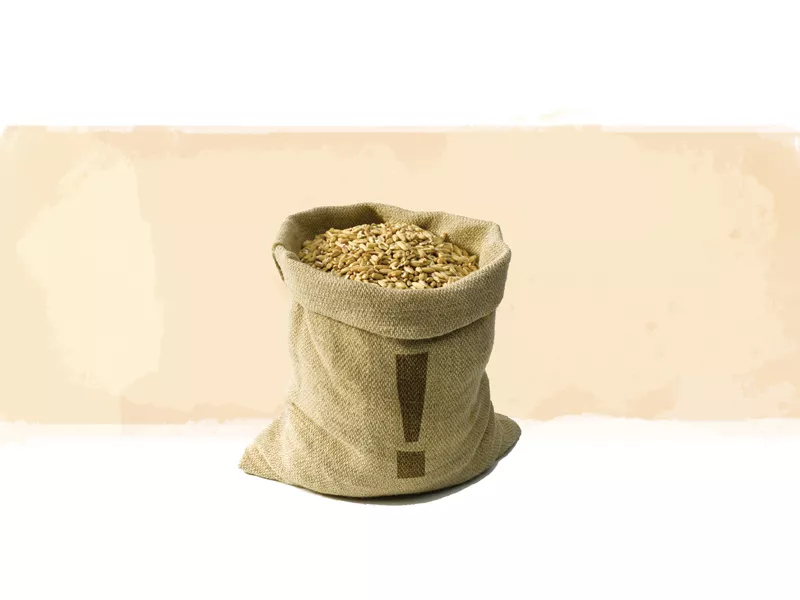two agriculture research centres in the province are producing cross seeds illustration jamal khurshid two agriculture research centres in the province are producing cross seeds illustration jamal khurshid