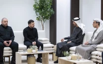 ukraine agrees to air defence cooperation with uae qatar