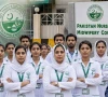 na panel concerned over nursing training