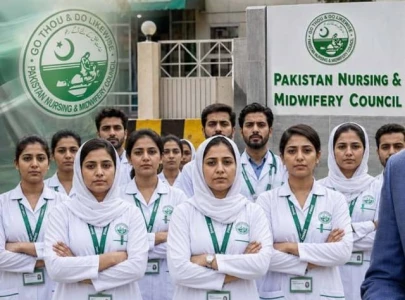 na panel concerned over nursing training na panel concerned over nursing training