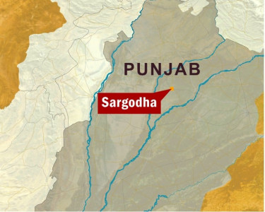 busted 18 arrested weapons and narcotics seized