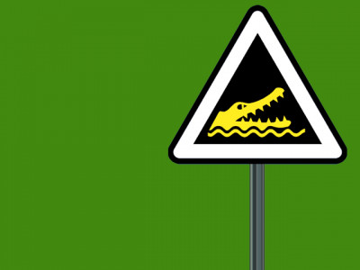 caught in action residents shoot down crocodile chasing man