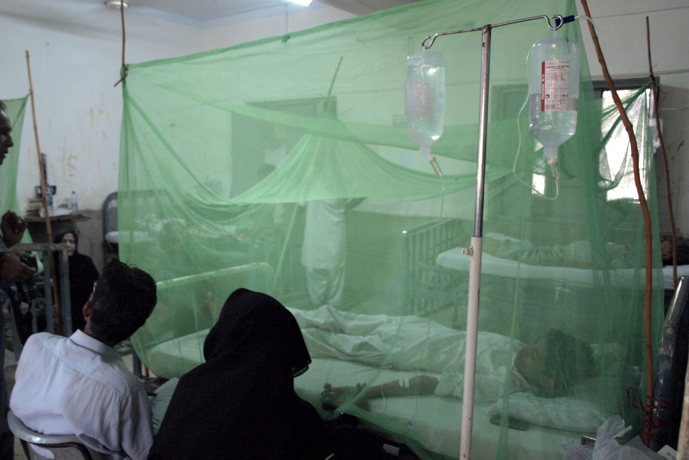 the mosquito borne virus has killed 12 people in the valley since august 19 photo shahid ali express