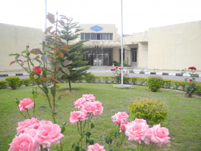 regulating healthcare pmdc chief promises re elections after completion of council