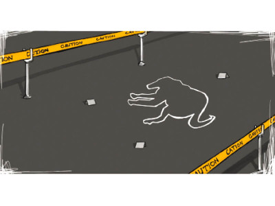 canine casualties for city admin citizens failings stray dogs pay with lives