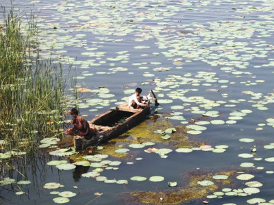 environmental pollution keenjhar lake under threat as effluents keep flowing in environmental pollution keenjhar lake under threat as effluents keep flowing in