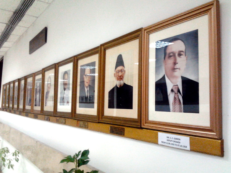 ce gibbon s photograph returns to the national assembly secretariat gallery photo qamar zaman express