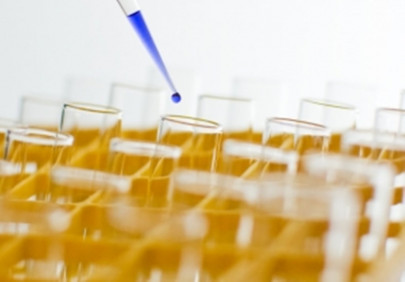 recognition twin cities teachers bag 12 out of 33 awards for research recognition twin cities teachers bag 12 out of 33 awards for research