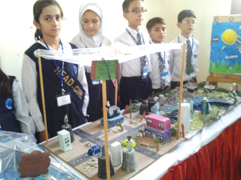 over 80 stalls set up by students of government and private schools photo express