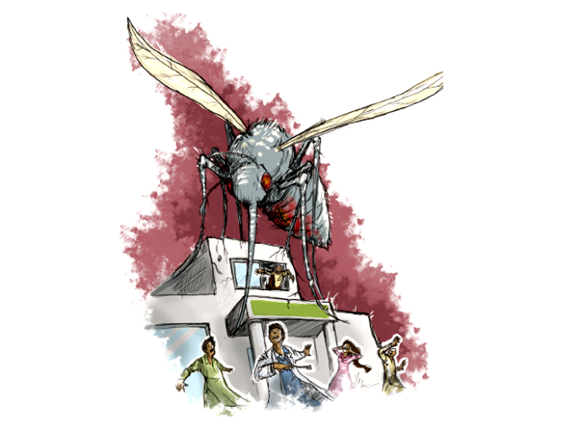 dozen more fall prey to dengue