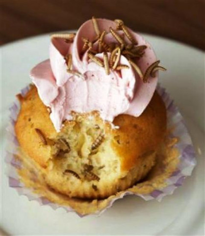 try adding worms to your chocolate muffin recipe mix or spice up mushroom risotto with a sprinkling of grasshoppers photo reuters try adding worms to your chocolate muffin recipe mix or spice up mushroom risotto with a sprinkling of grasshoppers photo reuters