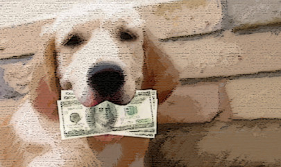 man says dog ate his money and us treasury paid up