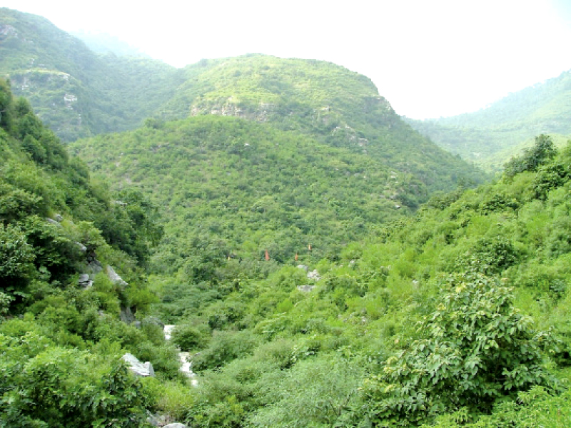 the margalla hills national park is at risk of being environmentally degraded if the tunnel is built photo file