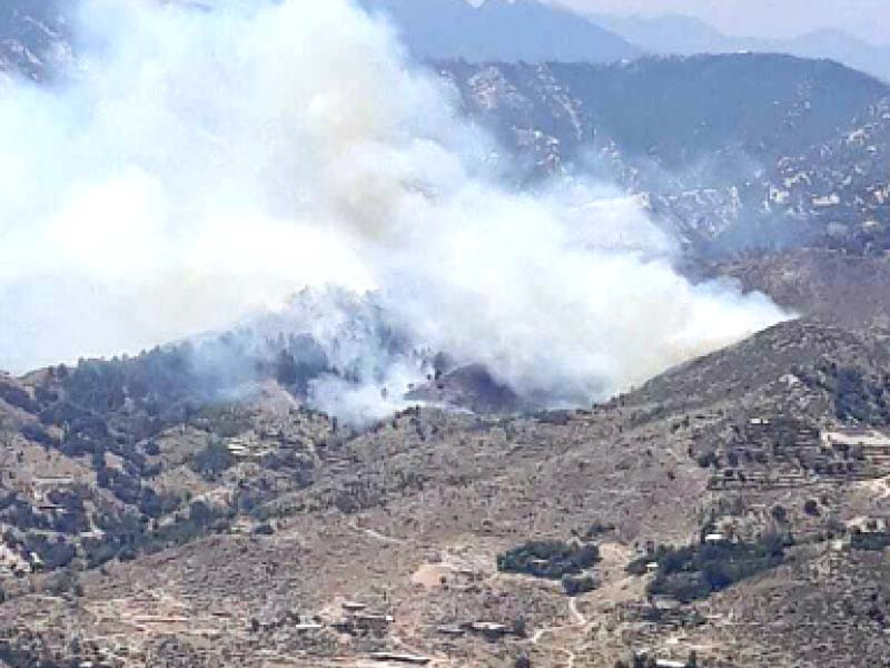 a huge fire is visible from miles away in jabbar dir upper in a newly planted forest photo express