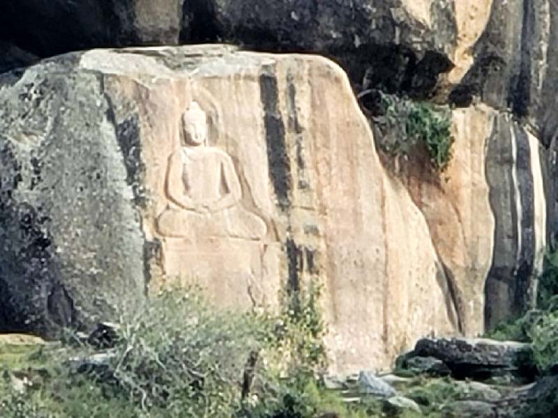 a large buddhist impression carved on a rock in the jahan abad area of swat the engraving is at least 2 000 years old photo twitter