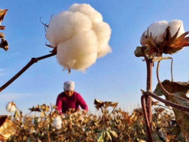 a pakistani textile entrepreneur believes that china can greatly help modernise pakistan s textile industry and reduce trade barriers photo file a pakistani textile entrepreneur believes that china can greatly help modernise pakistan s textile industry and reduce trade barriers photo file
