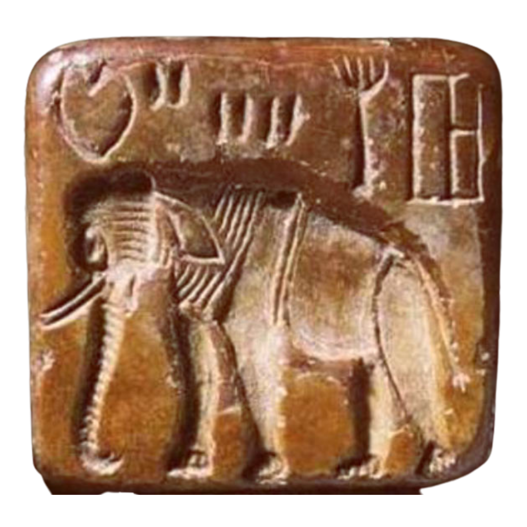 Photo of The Indus Valley riddle
