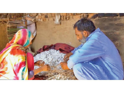 sericulture to boost farmers income