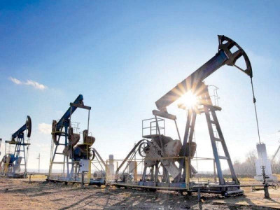 pakistan s pol import bill up by 6 97