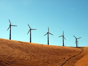 government of sindh and stfa yatirim holding a turkish company signed an mou on friday for implementation of a wind power project photo file