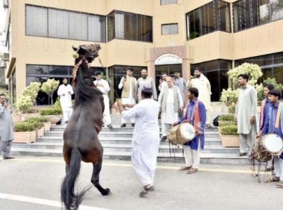 horse dances steal independence day shows