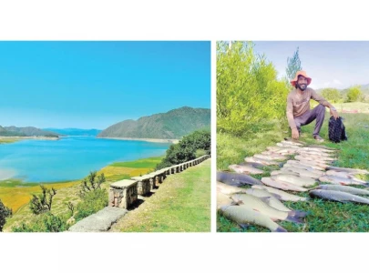 illegal fishing imperils aqua life illegal fishing imperils aqua life