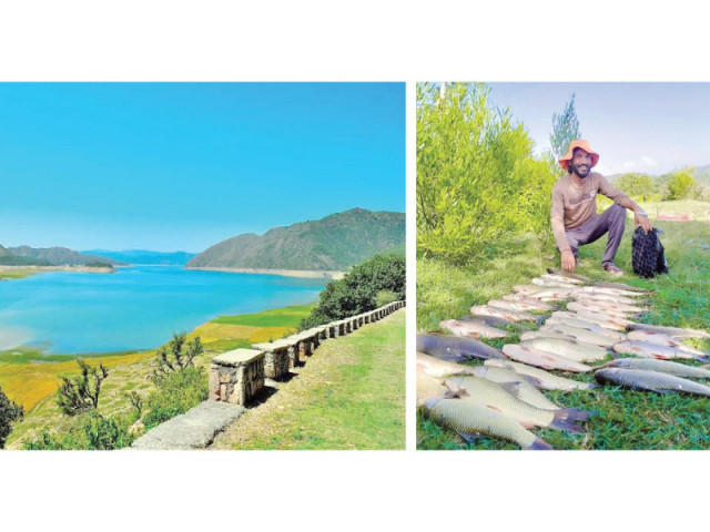 left tarbela dam presents a mesmerising look on a sunny day right a man shows off his massive fish haul photo express left tarbela dam presents a mesmerising look on a sunny day right a man shows off his massive fish haul photo express