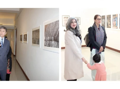 fly on the wall opens at pnca fly on the wall opens at pnca